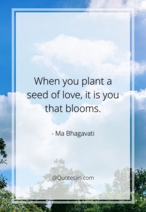nature quotes
