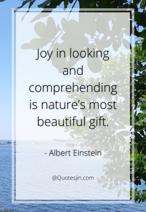 nature quotes
