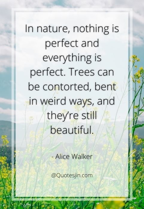 nature quotes