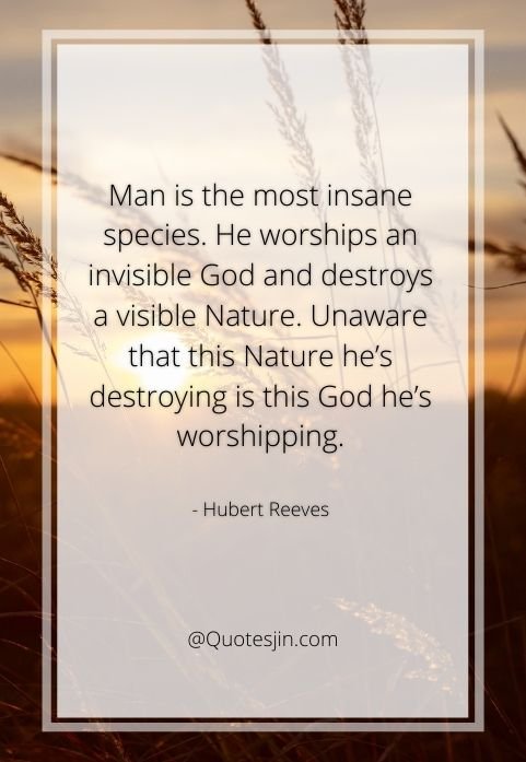 nature quotes