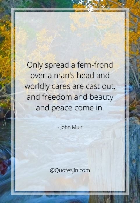 nature quotes