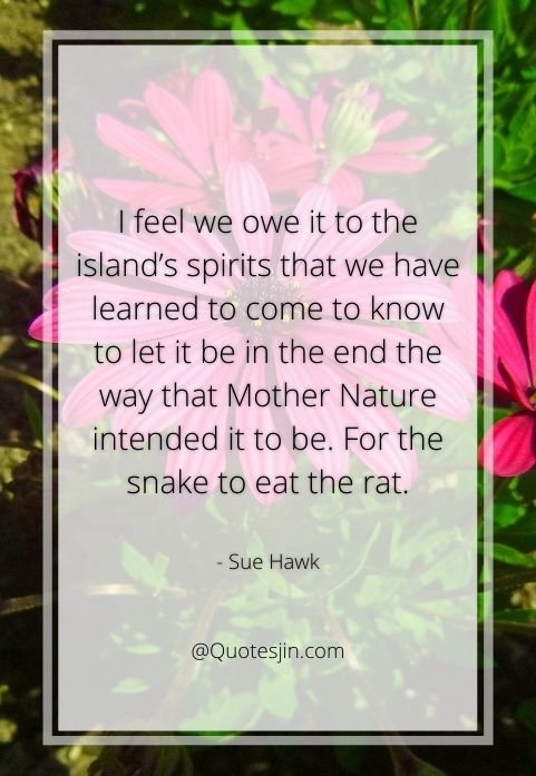 nature quotes
