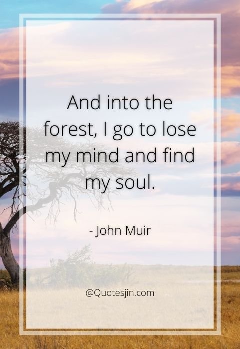 nature quotes