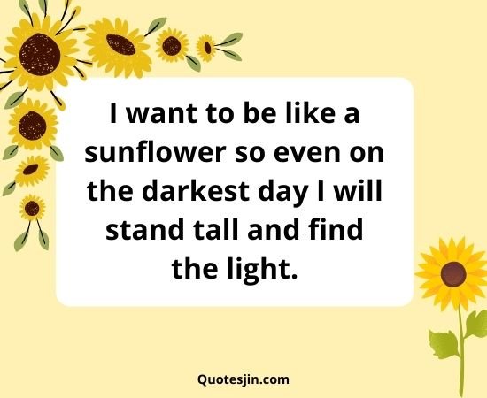 Sunflower Quotes