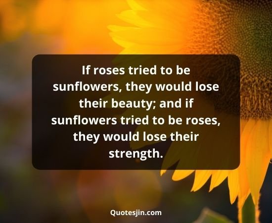 Sunflower Quotes