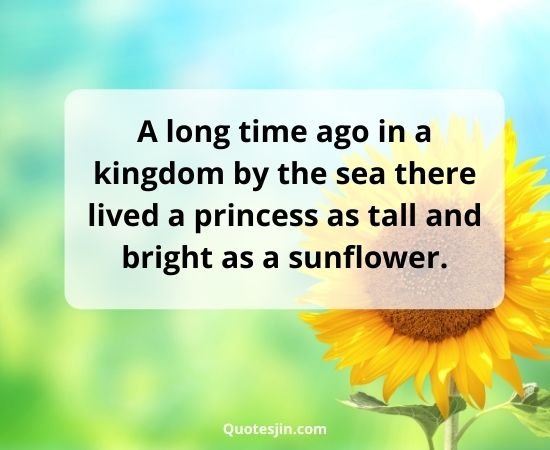 Sunflower Quotes