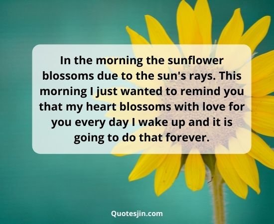 Sunflower Quotes