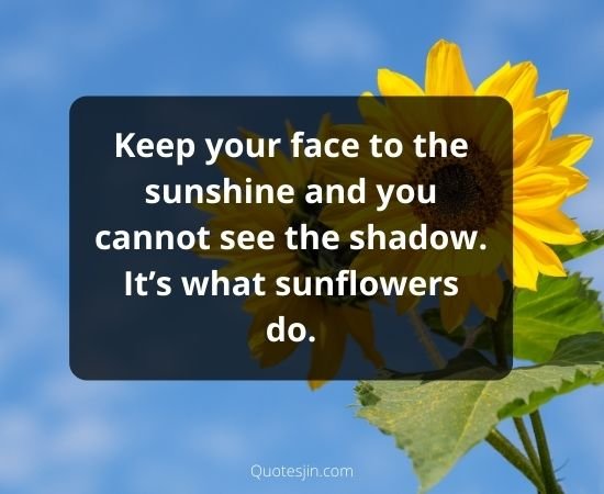 Sunflower Quotes