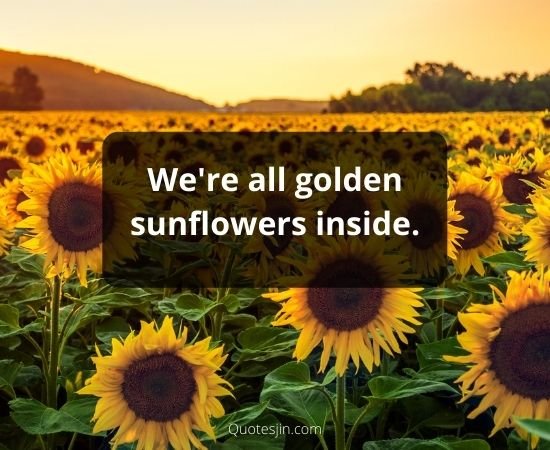 Sunflower Quotes