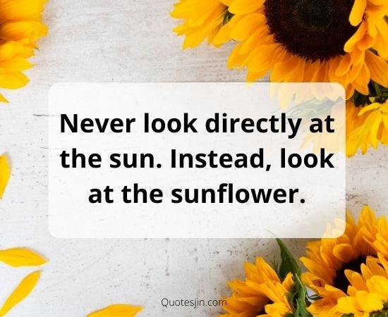 Sunflower Quotes