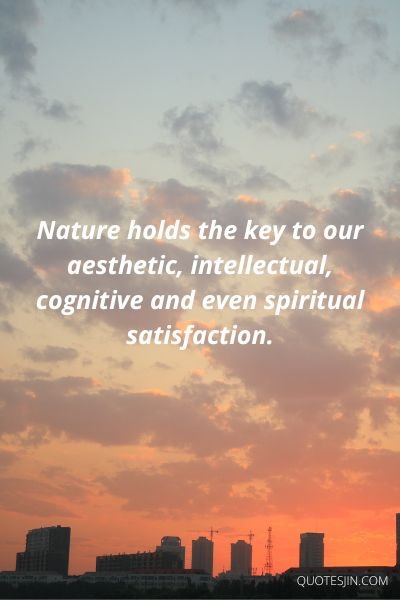 Aesthetic Quotes