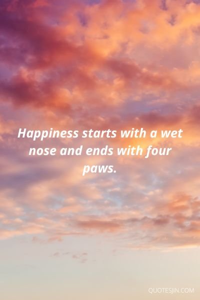 Aesthetic Quotes
